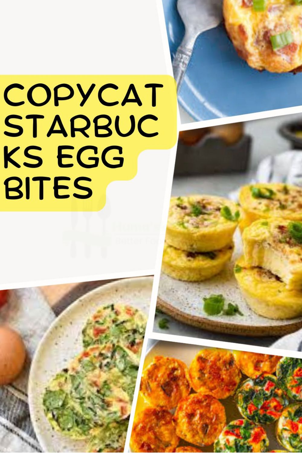 Copycat Starbucks Egg Bites