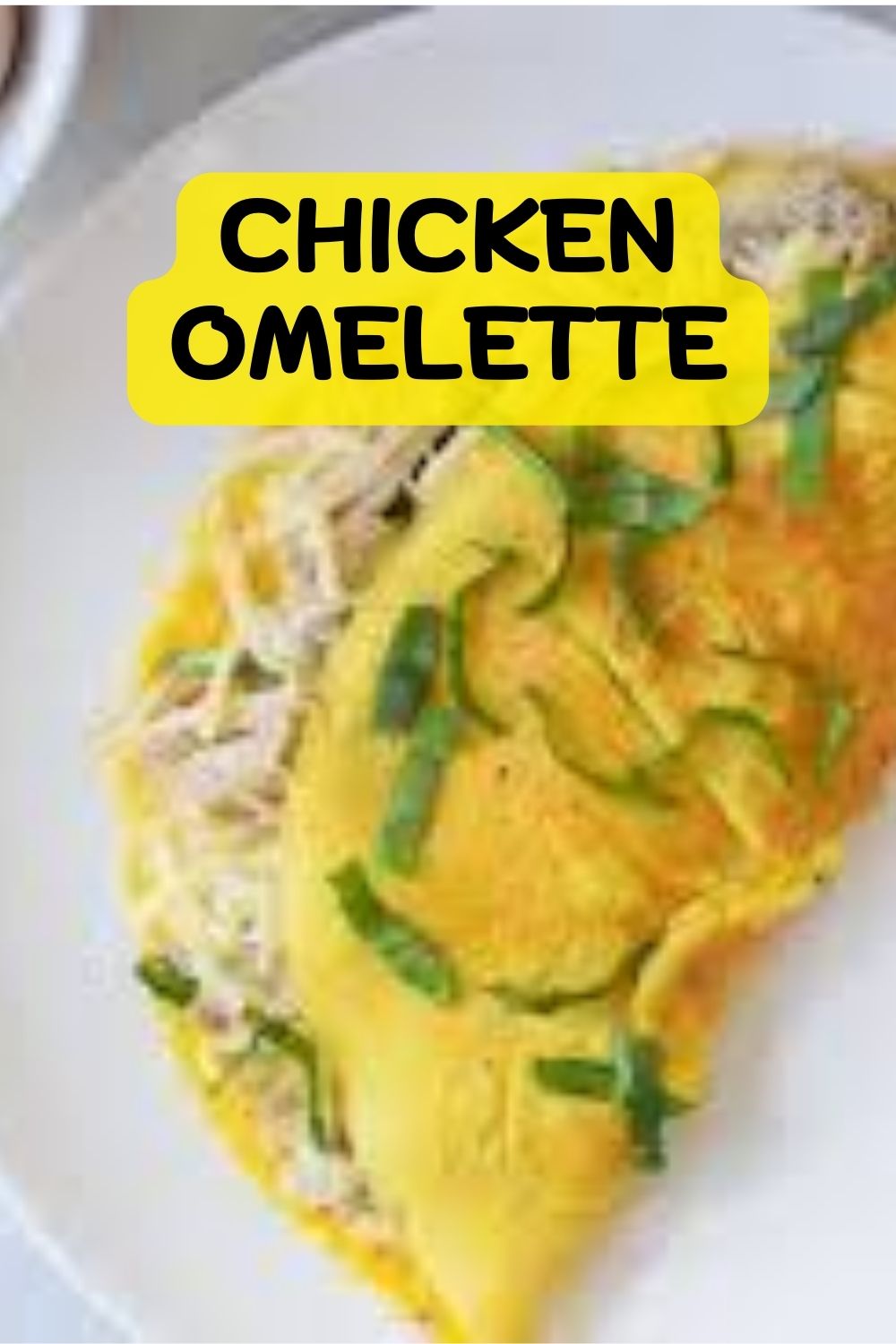 Chicken Omelette